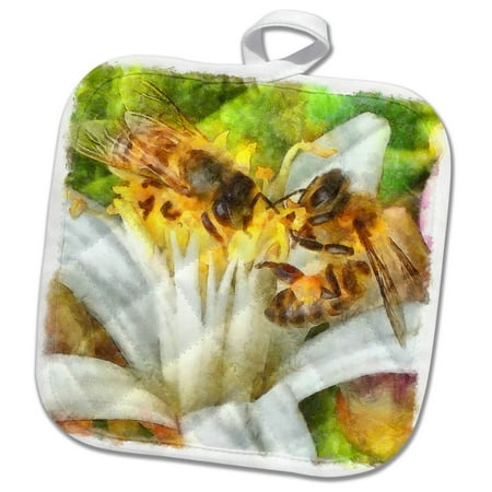 3dRose Bees and Flowering Plants Watercolor - Pot Holder 8 by 8-inch 
3dRose Bees and Flowering Plants Watercolor - Pot Holder 8 by 8-inch