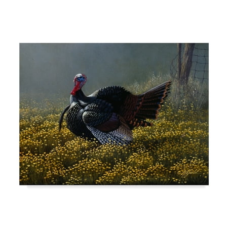 Trademark Fine Art 'Belly Deep In Buttercups' Canvas Art by Wilhelm Goebel