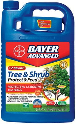 bayer tree & shrub