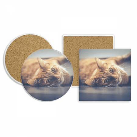 Animal Yellow Cat Photograph Picture Coaster Cup Mug Holder Absorbent Stone Cork Base Set
Animal Yellow Cat Photograph Picture Coaster Cup Mug Holder Absorbent Stone Cork Base Set