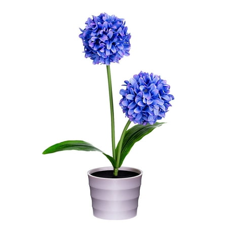 GadgetVLot Led Solar Onion Ball Flowerpot Lamp Simulation Dandelion Cloth Wire Garland Home Bedroom Gifts Night Lights
GadgetVLot Led Solar Onion Ball Flowerpot Lamp Simulation Dandelion Cloth Wire Garland Home Bedroom Gifts Night Lights