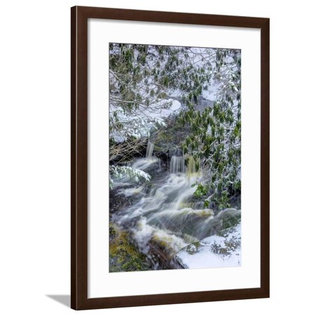 West Virginia, Blackwater Falls State Park. Blackwater River in Winter Framed Print Wall Art By Jaynes Gallery