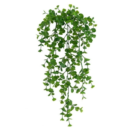XIDS 5 Forks Simulation Plants Easy Care Ornamental Vivid DIY Charming Reusable Decorative Ceiling Fake Rattan for Office
XIDS 5 Forks Simulation Plants Easy Care Ornamental Vivid DIY Charming Reusable Decorative Ceiling Fake Rattan for Office