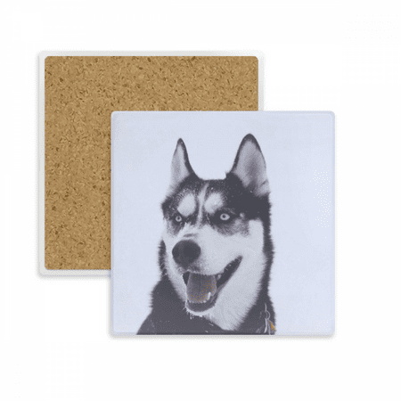 Big Dog Snow Husky Picture Square Coaster Cup Mat Mug Subplate Holder Insulation Stone
Big Dog Snow Husky Picture Square Coaster Cup Mat Mug Subplate Holder Insulation Stone