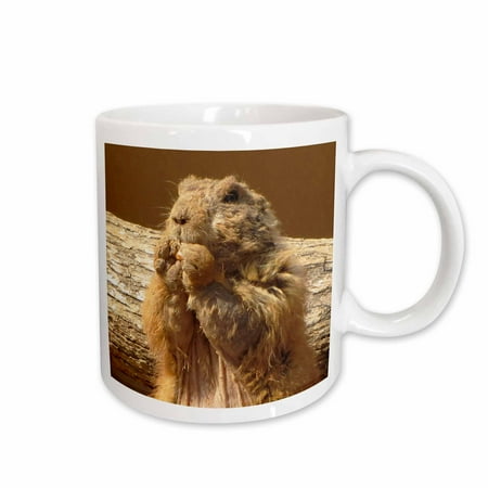 3dRose Prairie dog Ceramic Mug 11-ounce 
3dRose Prairie dog Ceramic Mug 11-ounce