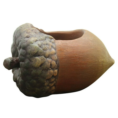 1pc Hazelnut Succulent Flowerpot Ornament Home Office Miniature Landscape Decor