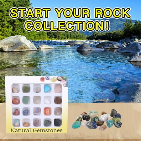 Sunhillsgrace Calendar Kinds Box Natural Education Early Gift Specimens Collection Of Mixed 20 Home Diy
Sunhillsgrace Calendar Kinds Box Natural Education Early Gift Specimens Collection Of Mixed 20 Home Diy