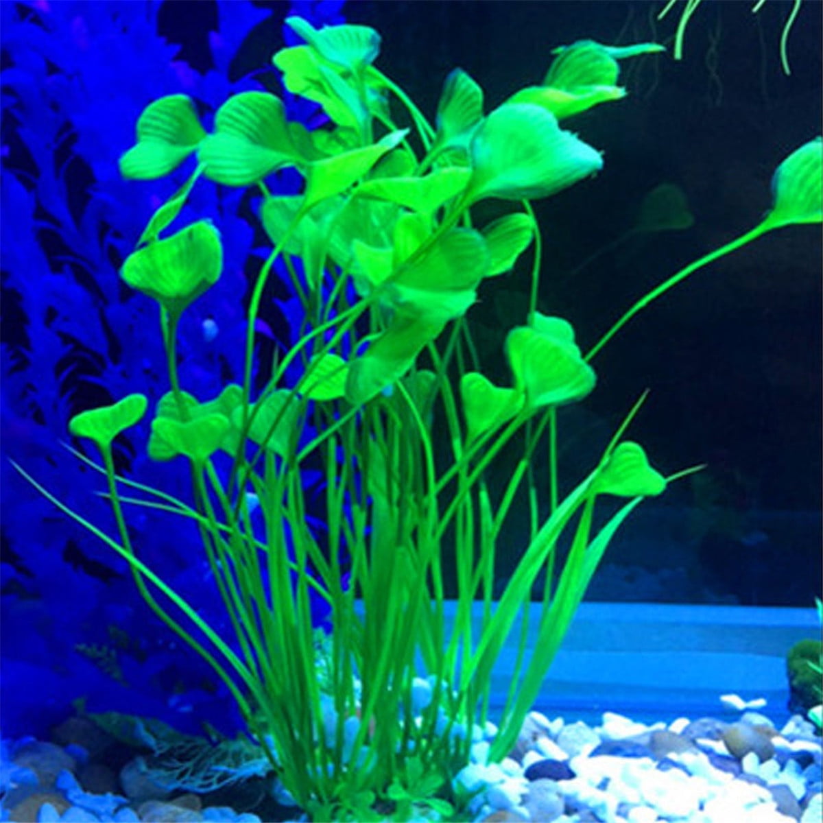 Aquarium Decorations Walmart Canada