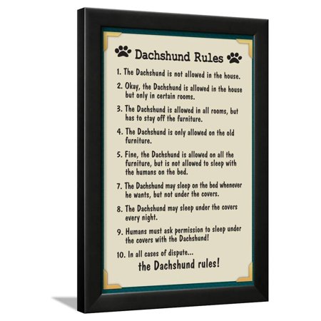 Dachshund House Rules Framed Print Wall Art
