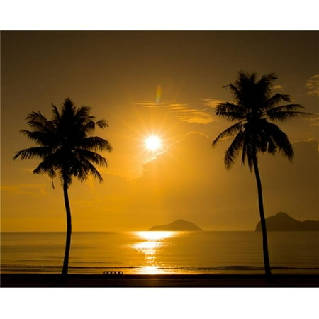 48 x 60 in. Two Palm Trees Sunset Tropical Beach Art