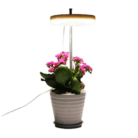 Grow Light Full Spectrum LED Plant Light For Indoor Plants Height Adjustable Growing Lamp Plant Lamp With Timer Flower Potted Seed Grow Light Full Spectrum Natural White Single Ring
Grow Light Full Spectrum LED Plant Light For Indoor Plants Height Adjustable Growing Lamp Plant Lamp With Timer Flower Potted Seed Grow Light Full Spectrum Natural White Single Ring