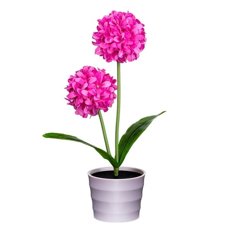 GadgetVLot Led Solar Onion Ball Flowerpot Lamp Simulation Dandelion Cloth Wire Garland Home Bedroom Gifts Night Lights
GadgetVLot Led Solar Onion Ball Flowerpot Lamp Simulation Dandelion Cloth Wire Garland Home Bedroom Gifts Night Lights