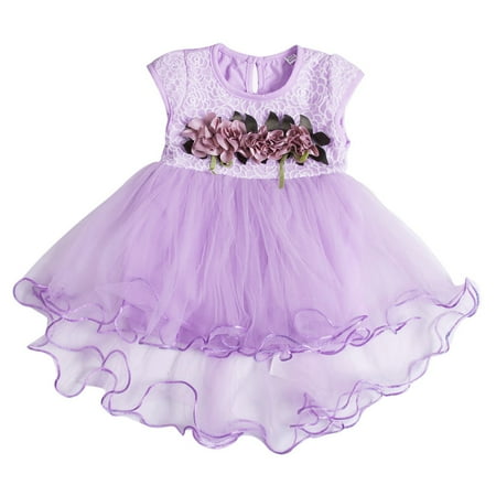 EHTMSAK Newborn Infant Baby Sleeveless Summer Dresses for Girl Tulle Tutu Sundress Floral Dress Purple 0-24M 73
EHTMSAK Newborn Infant Baby Sleeveless Summer Dresses for Girl Tulle Tutu Sundress Floral Dress Purple 0-24M 73