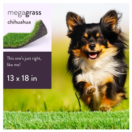 MegaGrass Chihuahua 13 x 18 in Artificial Grass for Small Pet Dog Potty Indoor/Outoor Area Rug