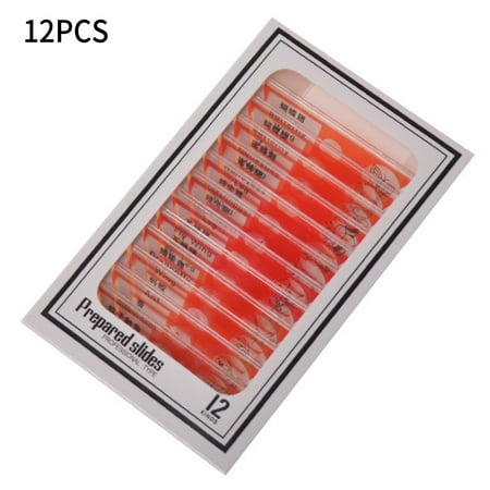 12PCS Microscope Prepared Slides Insects Plant Animal Specimen Plastic for Kids
12PCS Microscope Prepared Slides Insects Plant Animal Specimen Plastic for Kids