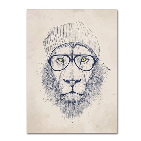 Cool Lion by Balazs Solti, 14x19-Inch Canvas Wall Art, Artist: balazs solti By Trademark Fine Art From USA