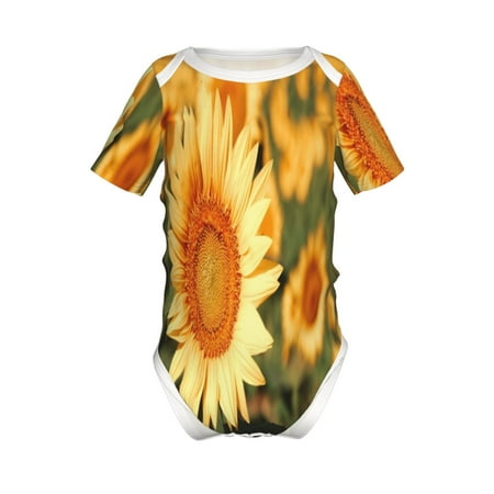 Lukts Golden Sunflower In Field Print Baby Short Sleeve Romper Onesie for Newborn Baby Boys and Girls-18 Months
Lukts Golden Sunflower In Field Print Baby Short Sleeve Romper Onesie for Newborn Baby Boys and Girls-18 Months