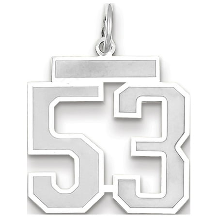 14k White Gold WG Medium Satin Number 53 Pendant / Charm