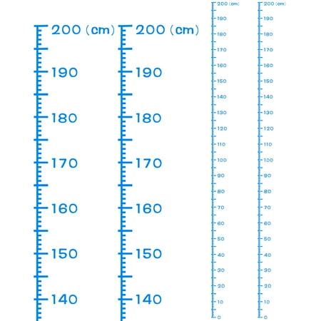 Height Chart Ruler 200cm Metric System PVC with Transfer Film Light Blue 2 Pieces
Height Chart Ruler 200cm Metric System PVC with Transfer Film Light Blue 2 Pieces