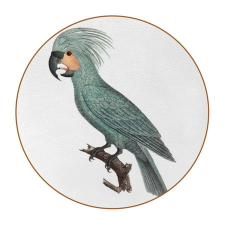 OWNTA Cockatoo Print Pattern Premium Microfiber Leather Round Coasters (6PCS) - 11x11 cm/4.3x4.3 in - Durable & Stylish Cup Mat Set
OWNTA Cockatoo Print Pattern Premium Microfiber Leather Round Coasters (6PCS) - 11x11 cm/4.3x4.3 in - Durable & Stylish Cup Mat Set