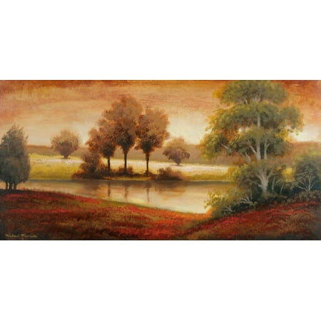 Gleaming Landscape Stretched Canvas - Michael Marcon (10 x 20)