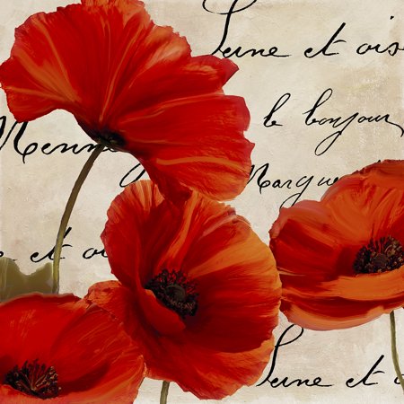 Coquelicots Rouge I-COLBAK116162 Print 25.75"x25.75" by Color Bakery in a Un (Print Only)