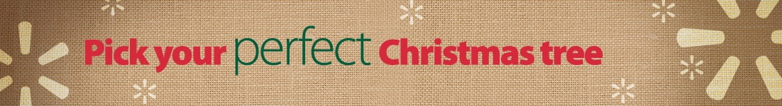 Pick your perfect Christmas tree