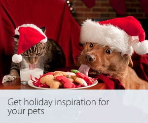 Get holiday inspiration for your pets