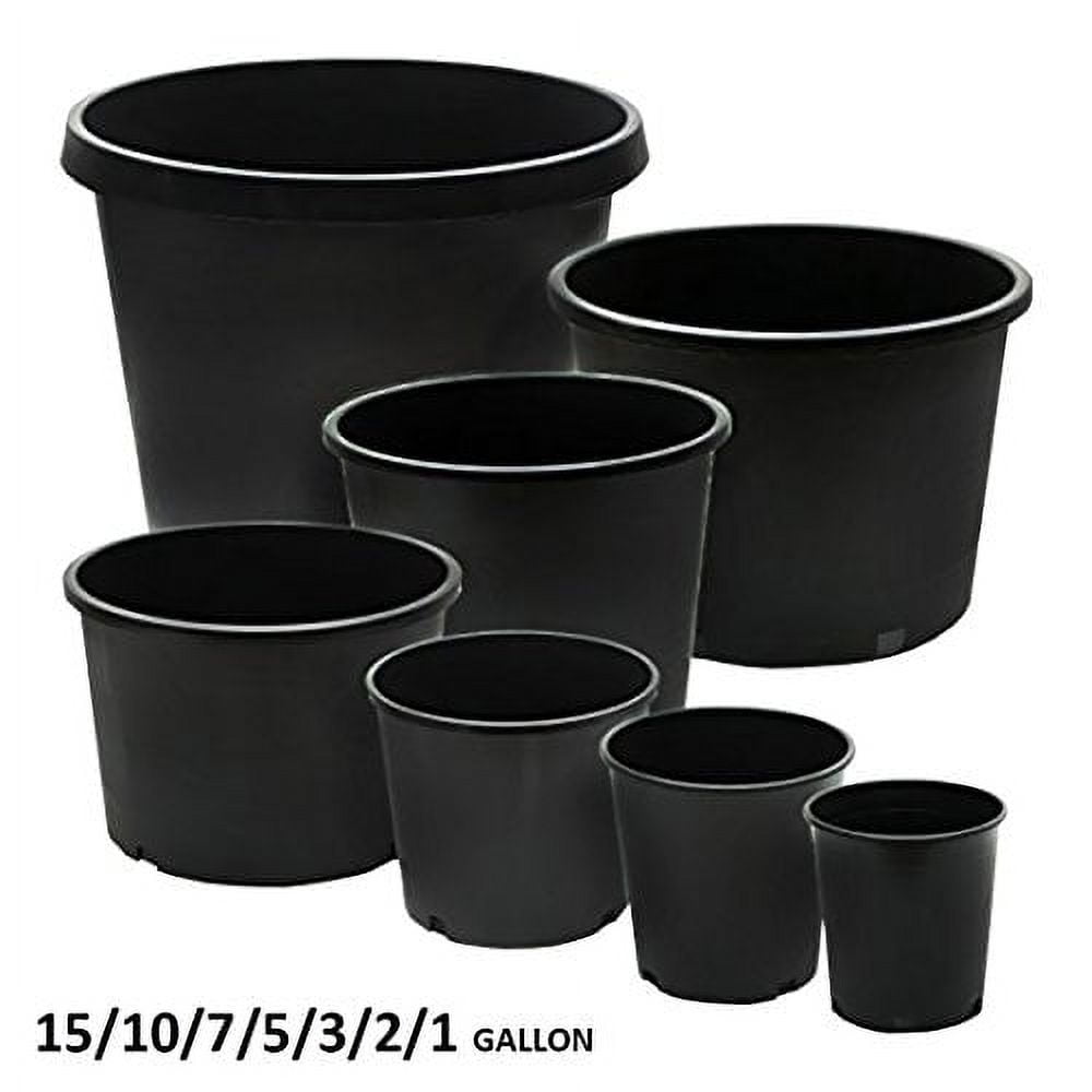 Pack Gallon Premium Black Plastic Nursery Plant Container Garden