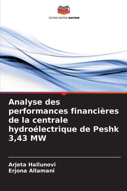 Analyse Des Performances Financi Res De La Centrale Hydro Lectrique De