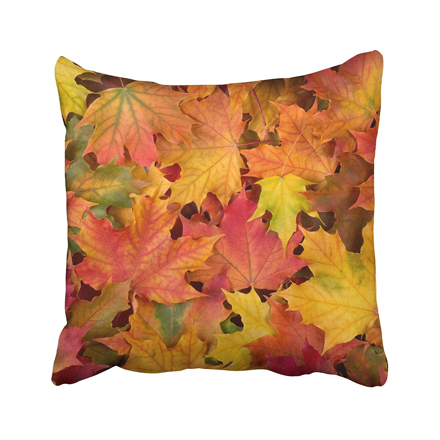 Bpbop Red Leaf Fall Leaves Brown Autumn Maple September Tree October