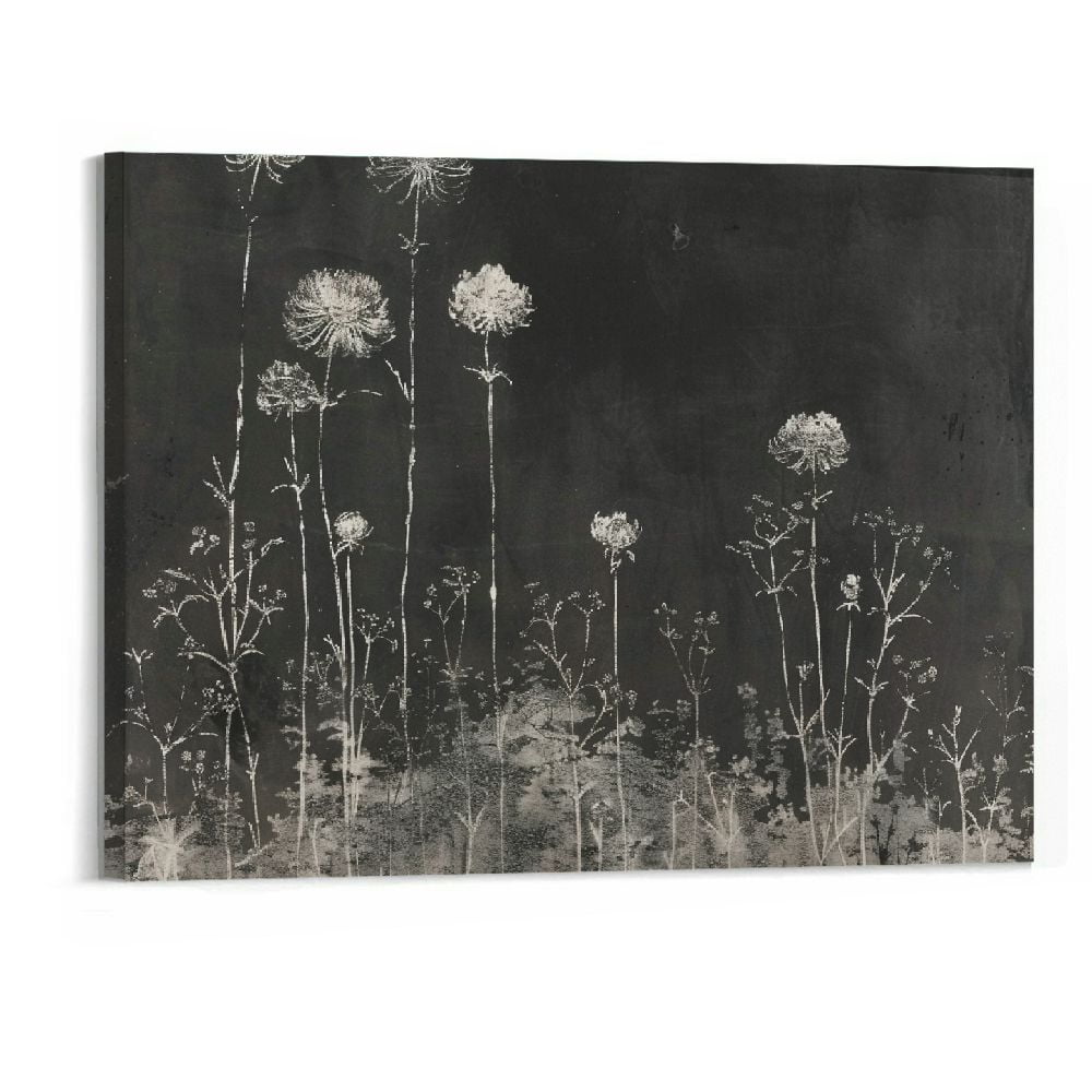 Black And White Dandelion Canvas Wall Art Vintage Dandelion Print Black