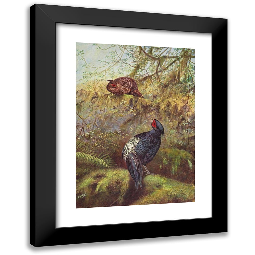 George Edward Lodge X Black Modern Framed Museum Art Print Titled