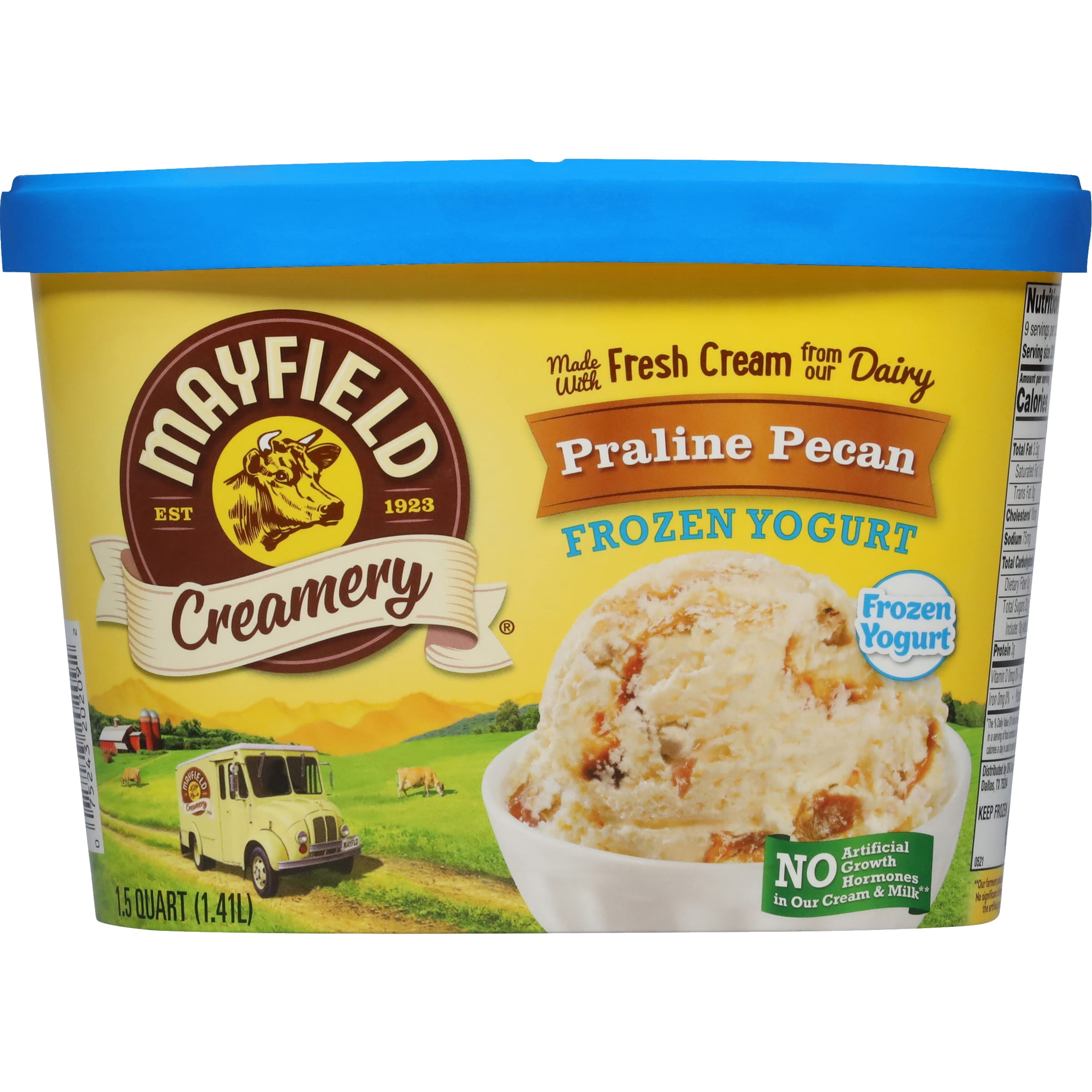 Mayfield Creamery Praline Pecan Frozen Yogurt 1 5 Qt Walmart