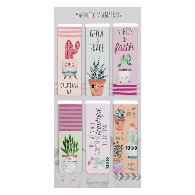 Set Of Beloved Scripture Favorites W Cactus Cheerful Flower Pots