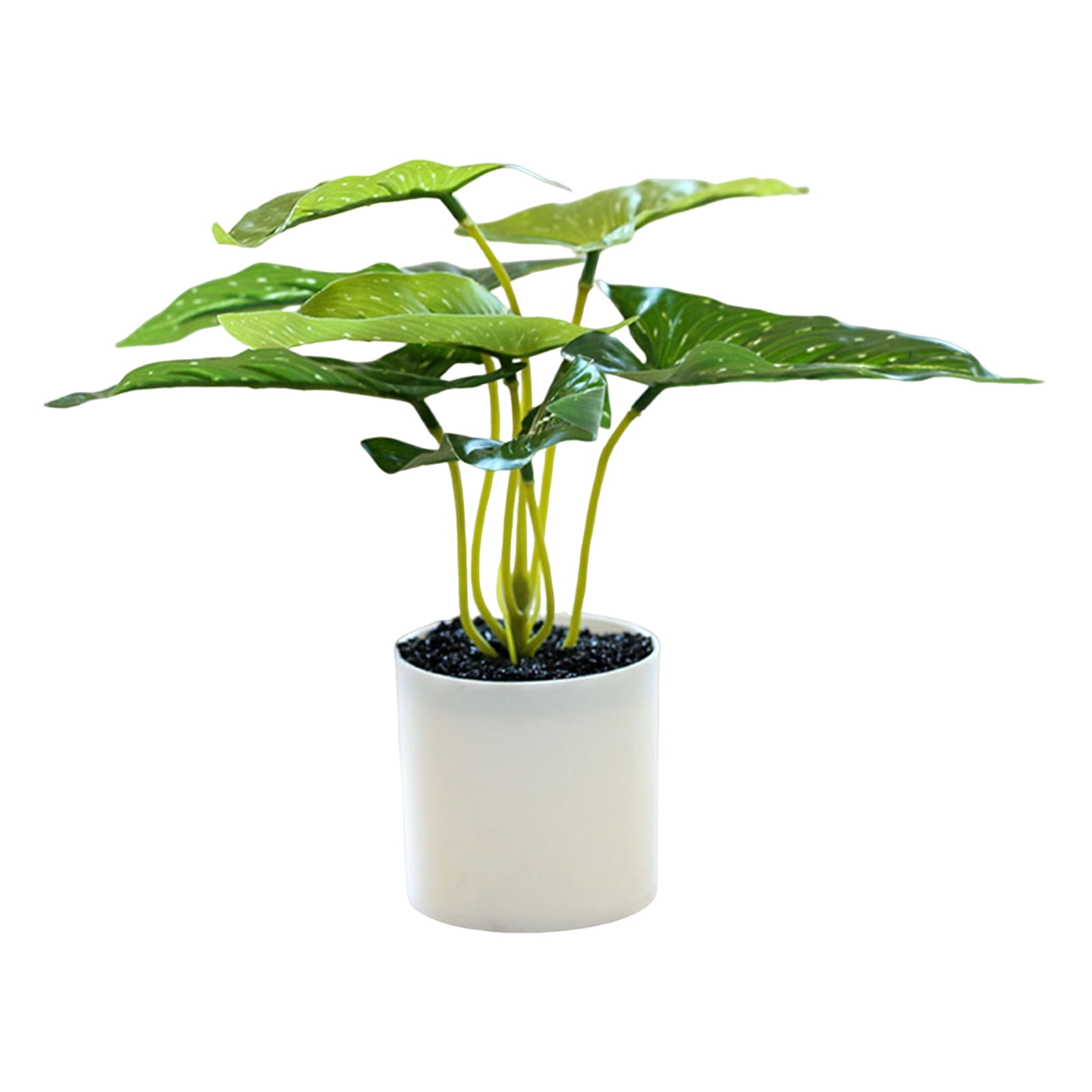 Simulation Pot Plant Realistic Looking Not Wither Geometric Shape