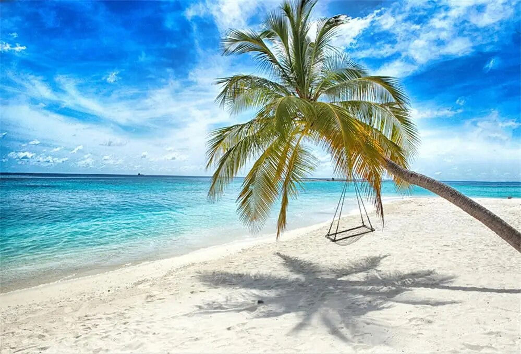 Tropical Backdrops Sea Beach Palms Tree Swing Island Cloudy Sky Scenic