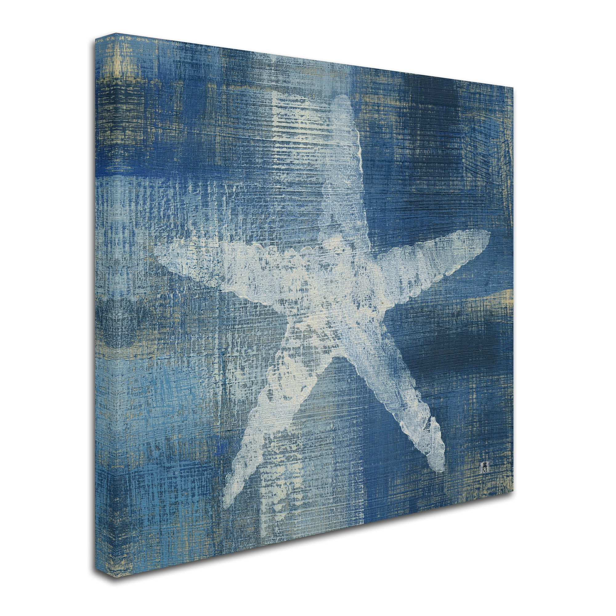 Trademark Fine Art 'Batik Seas II' Canvas Art by Studio Mousseau