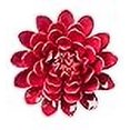 thumbnail image 3 of Vivaterra Ceramic Wall Flowers - 8 Dia. Red, 3 of 4