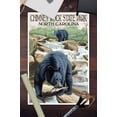 thumbnail image 3 of Chimney Rock State Park, NC, Bear Fishing in Stream (12x18 Wall Art Poster, Room Decor), 3 of 3
