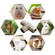 thumbnail image 4 of Nido De Hámster Casa De Hámster Casa De Hámster Escondite Túnel De Nido Pequeño Para Mascotas Juguete De Jaula De Hierba ANGGREK AI1005, 4 of 7