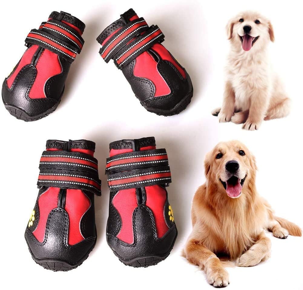 most comfortable dog boots