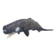 thumbnail image 4 of Juguetes del mundo de los animales marinos, réplicas realistas de cachalotes, figuras de acción oceánicas, animales marinos simulados, resultados impresionantes, 4 of 14