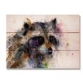 thumbnail image 1 of Day Dream HQ DCRA1511 15 x 11 Po Art Mural en Raton Laveur, 1 of 1