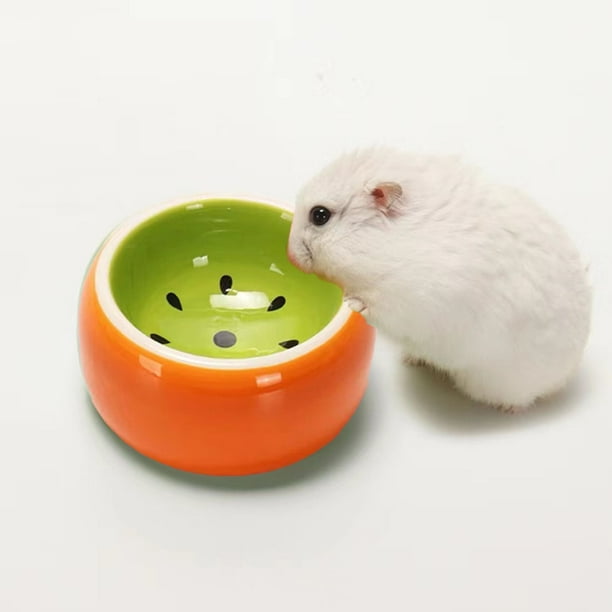 Dwarf hamster food bowl cheap