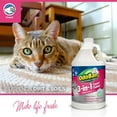 thumbnail image 2 of OdoBan 1 Gal. 3-in-1 Carpet Cleaner, Concentrated Carpet Cleaning Solution, EPA Safer Choice Certified, 2-Pack, 2 of 6