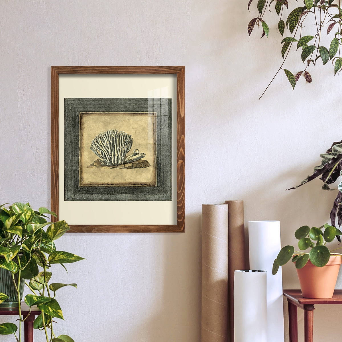 Mini Exotic Coral IX (U) - Framed Print w/glass - Walnut