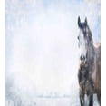 thumbnail image 3 of Country Duvet Cover Set, Grey Horse on Winter Landscape Snowfall in Wilderness Royal Animal Nature, Decorative 3 Piece Bedding Set with 2 Pillow Shams, Queen Size, White Brown, by Ambesonne, 3 of 3