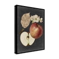 thumbnail image 2 of Trademark Fine Art 'Midnight Harvest II' Canvas Art by Vision Studio, 2 of 4
