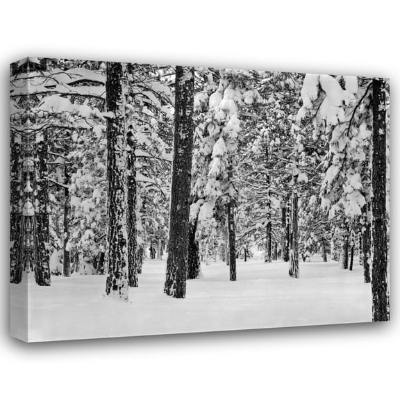Lee Peterson 18x15 Gallery Wrapped Canvas Wall Art Titled - Tree II